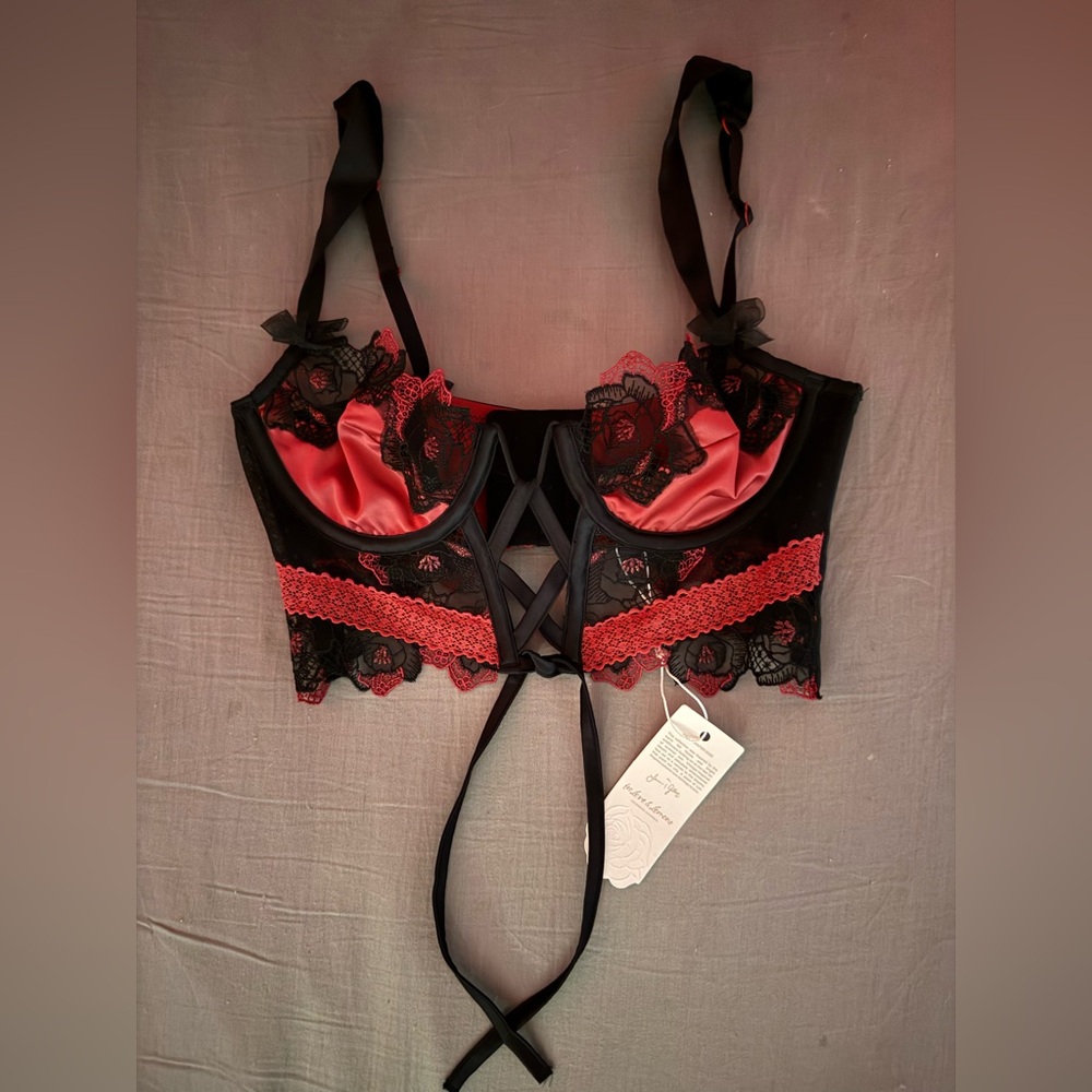 Elegant Lace Trim Pink and Black Bustier - For Love & Lemons Ivy Bra - SMALL